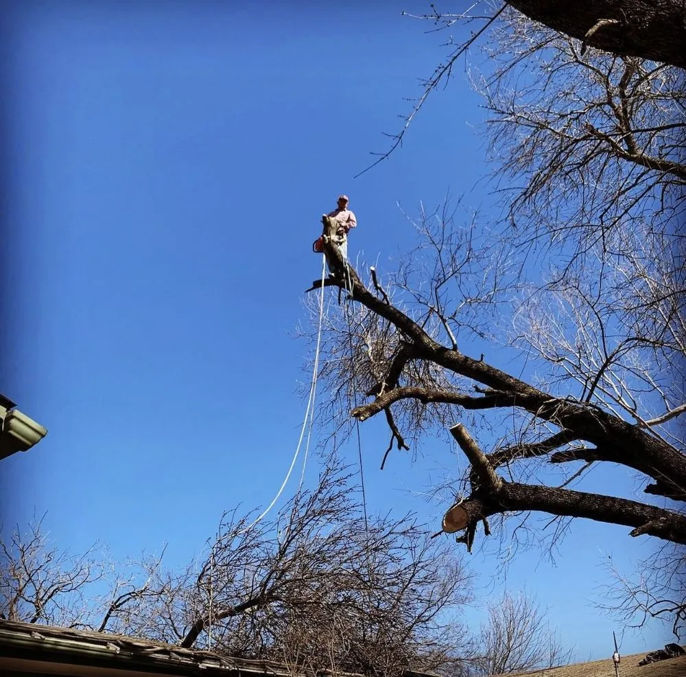 Custom outdoor landscaping in Waco, TX - Lopez Tree Service