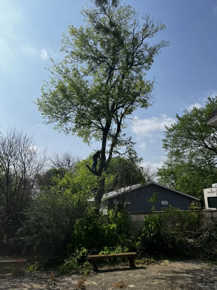 Trusted lawn mowing service near you across Waco, TX - Lopez Tree Service