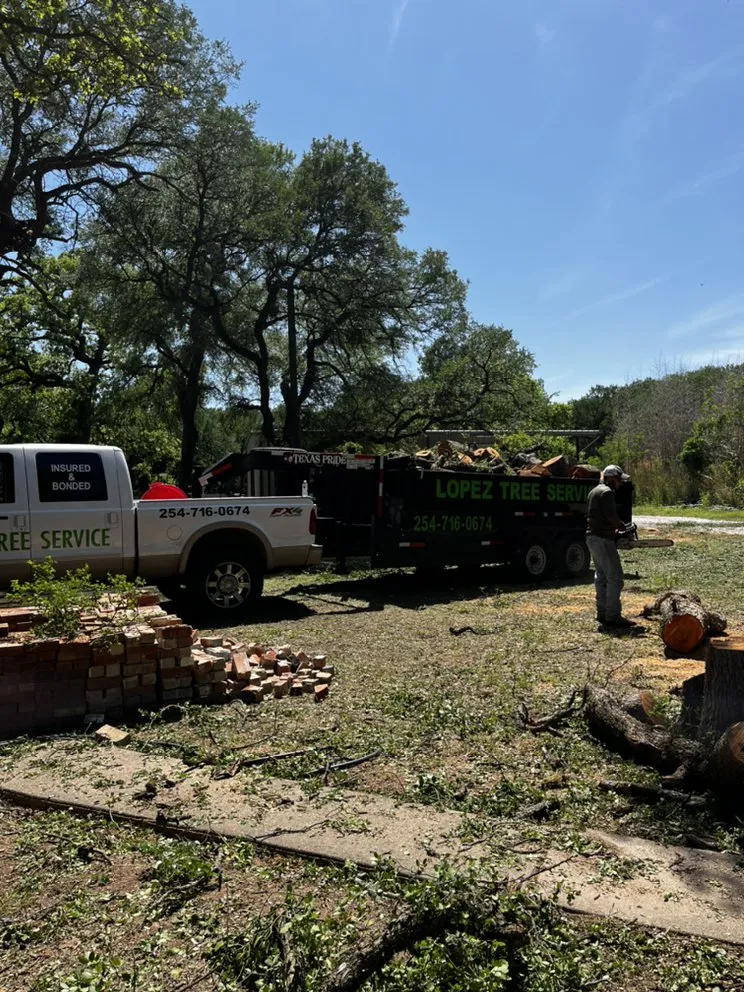 Expert landscaping services experts serving Waco, TX - Lopez Tree Service
