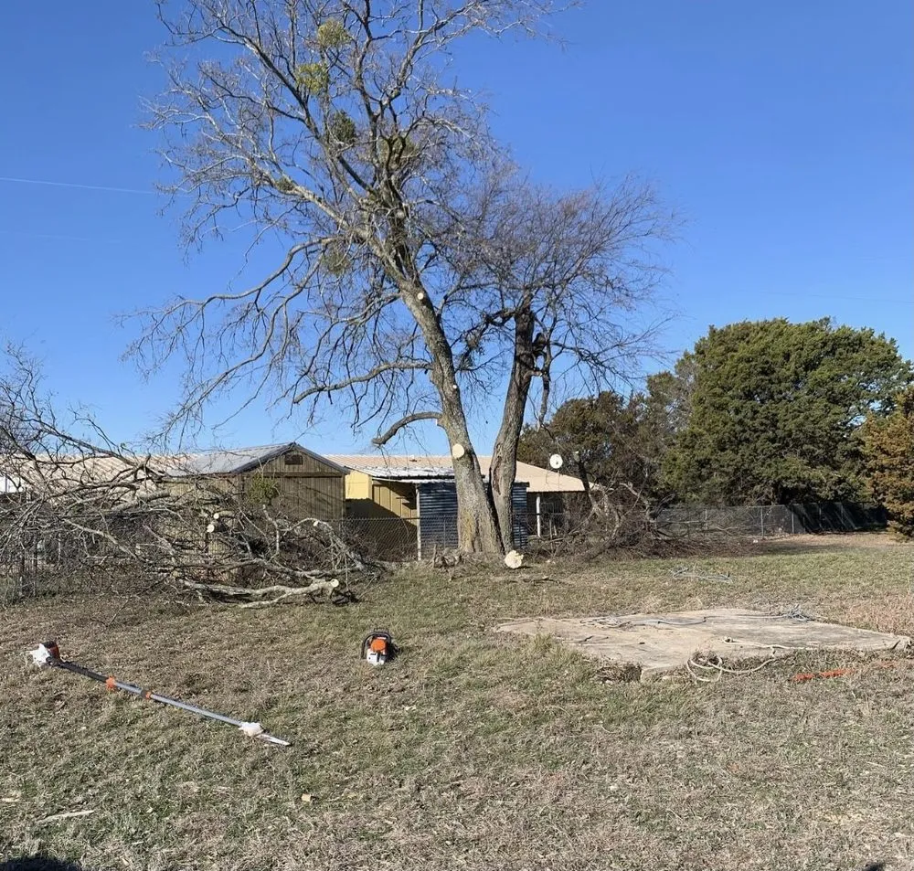 Top-rated residential landscaping for year-round maintenance across Waco, TX - Lopez Tree Service