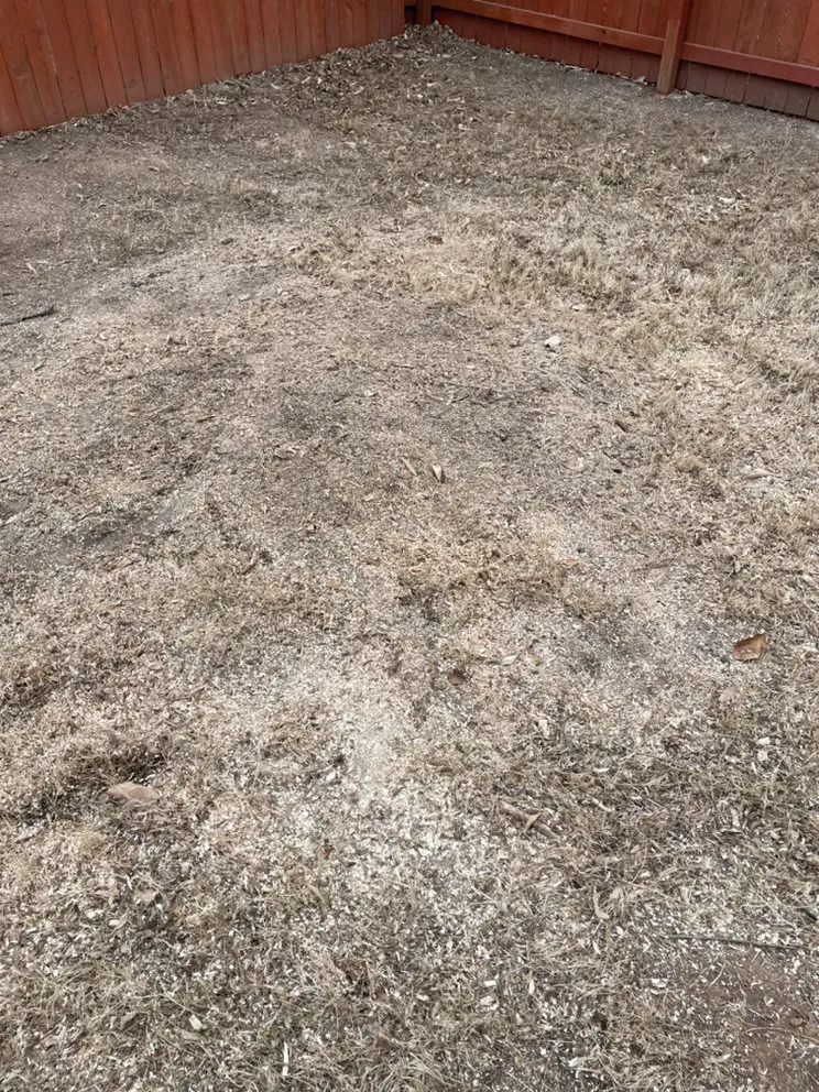 Trusted yard maintenance with custom design in Waco, TX by Lopez Tree Service