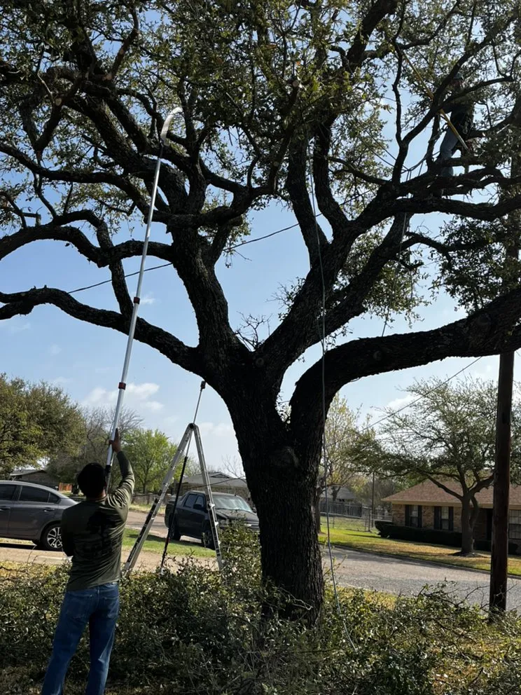 Reliable outdoor landscaping for residential properties across Waco, TX - Lopez Tree Service