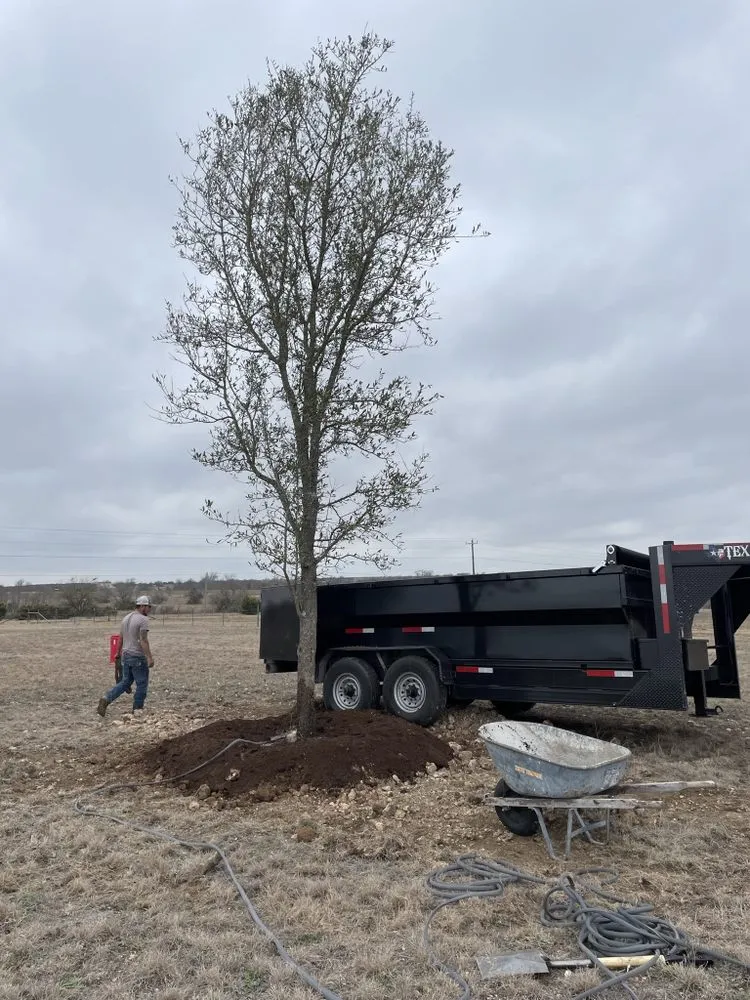 Trusted landscaping services for outdoor upgrades across Waco, TX - Lopez Tree Service