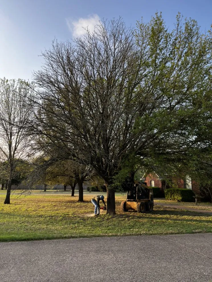 Top-rated lawn mowing service for beautiful yards in Waco, TX by Lopez Tree Service