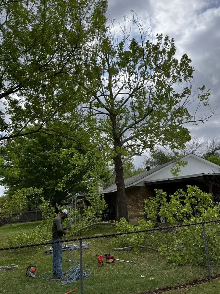 Reliable yard maintenance in Waco, TX by Lopez Tree Service