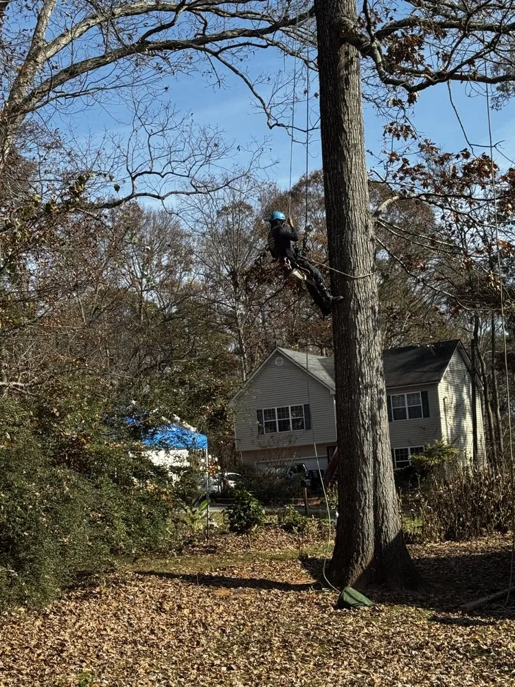 Professional landscape installation experts serving Marietta, GA - Lopez Tree Services and Landscaping