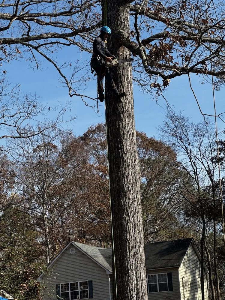 Reliable landscaping services in Marietta, GA by Lopez Tree Services and Landscaping