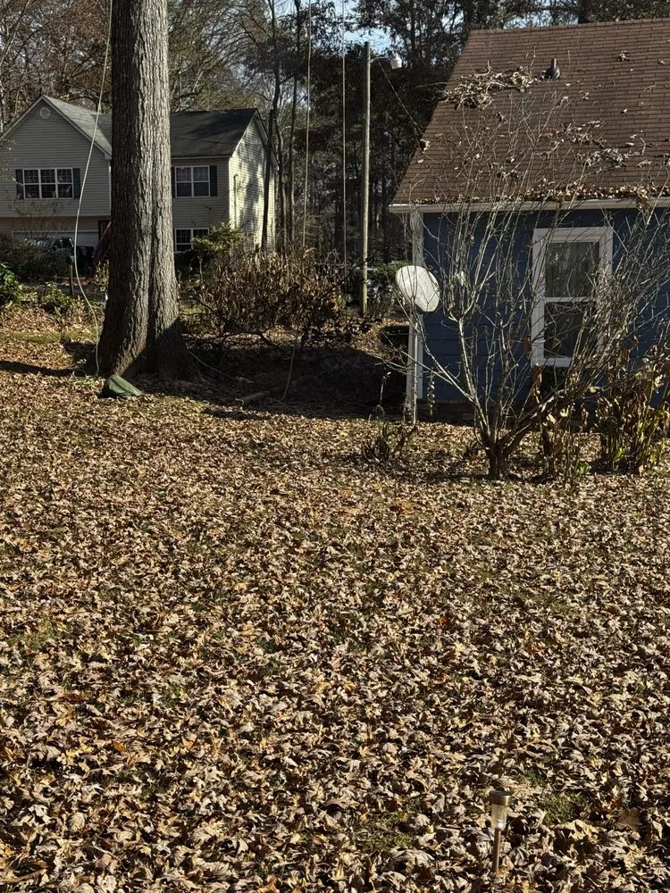 Affordable lawn mowing service for residential properties in Marietta, GA by Lopez Tree Services and Landscaping