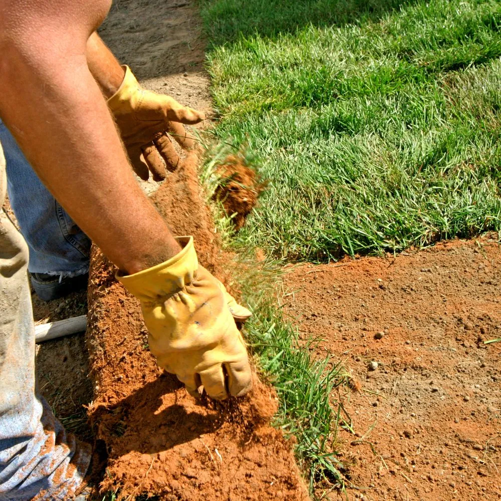 Reliable yard maintenance experts serving Marietta, GA - Lopez Tree Services and Landscaping