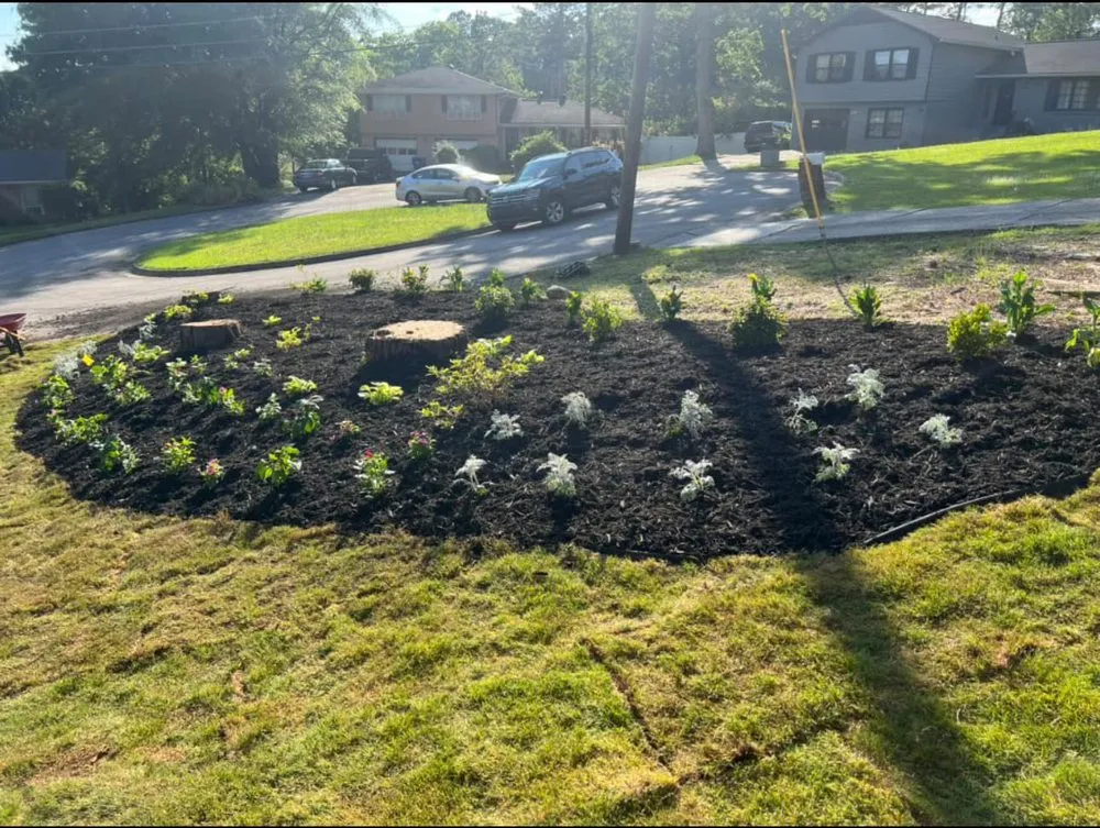 Reliable yard cleanup service for homes across Marietta, GA - Lopez Tree Services and Landscaping