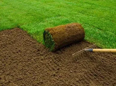 Professional yard cleanup service experts serving Marietta, GA - Lopez Tree Services and Landscaping