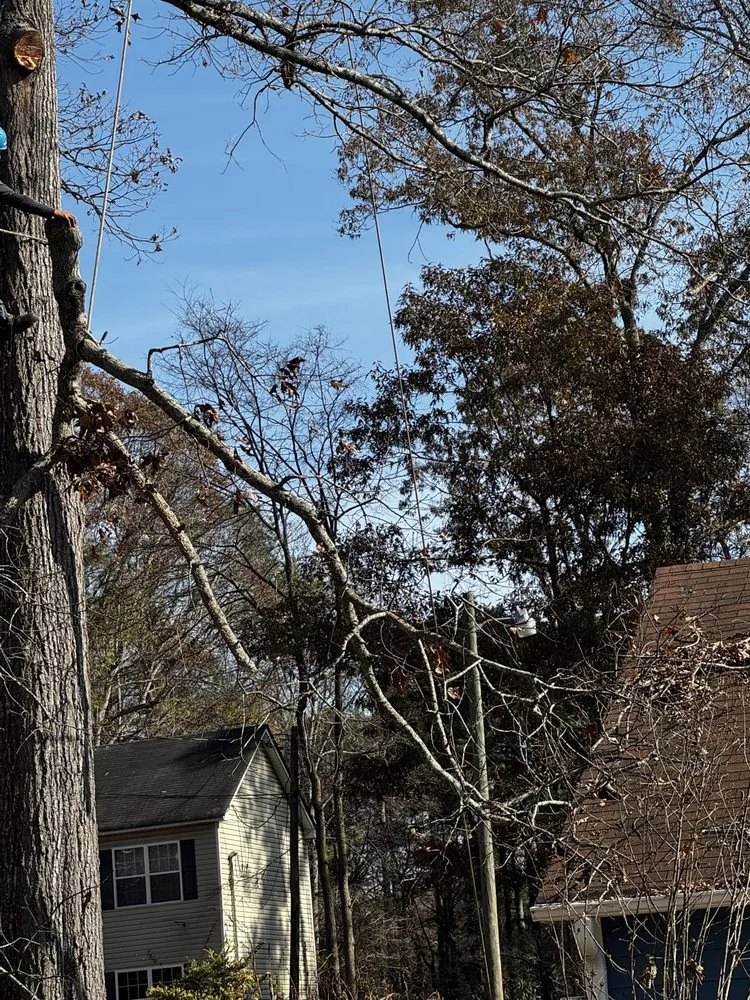 Trusted landscape design with custom design in Marietta, GA by Lopez Tree Services and Landscaping