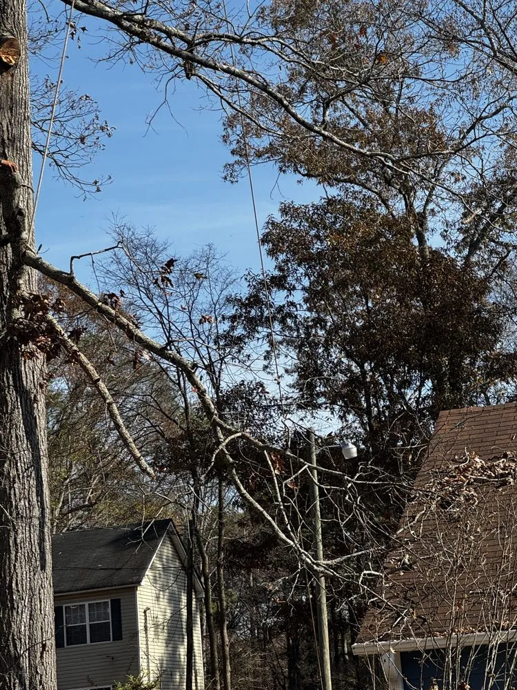 Reliable landscape installation in Marietta, GA by Lopez Tree Services and Landscaping