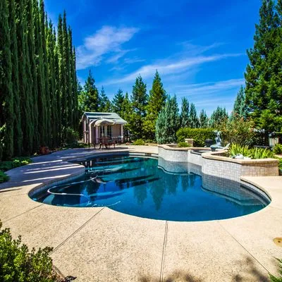 Lopez Tree Services and Landscaping Logo