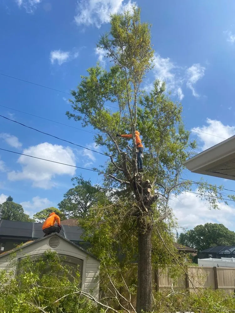 Professional garden landscaping for homes across Sarasota, FL - Lopez Tree Trimming & Landscape Services