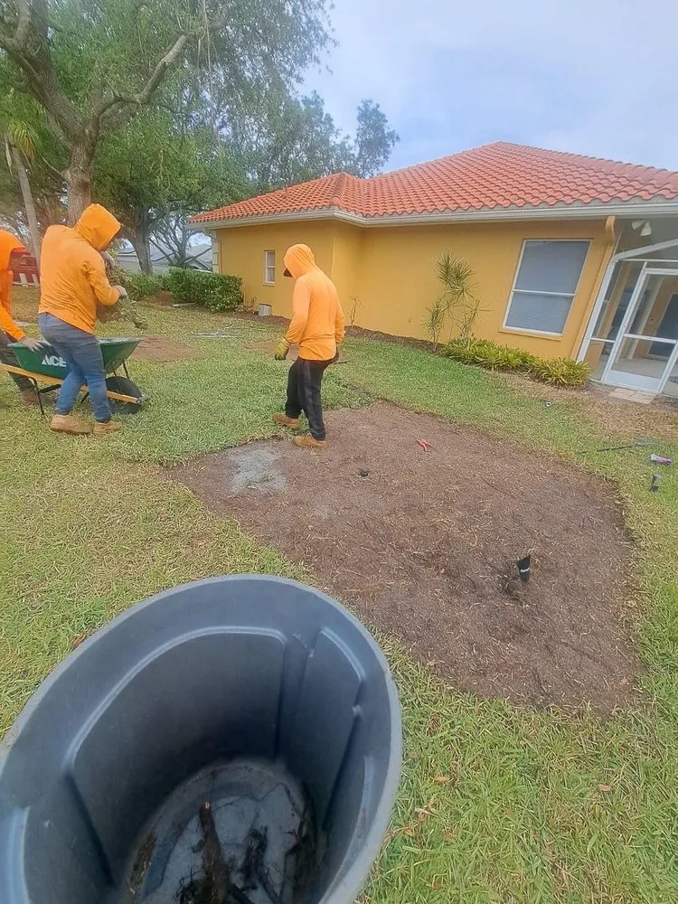 Reliable yard maintenance for beautiful yards across Sarasota, FL - Lopez Tree Trimming & Landscape Services