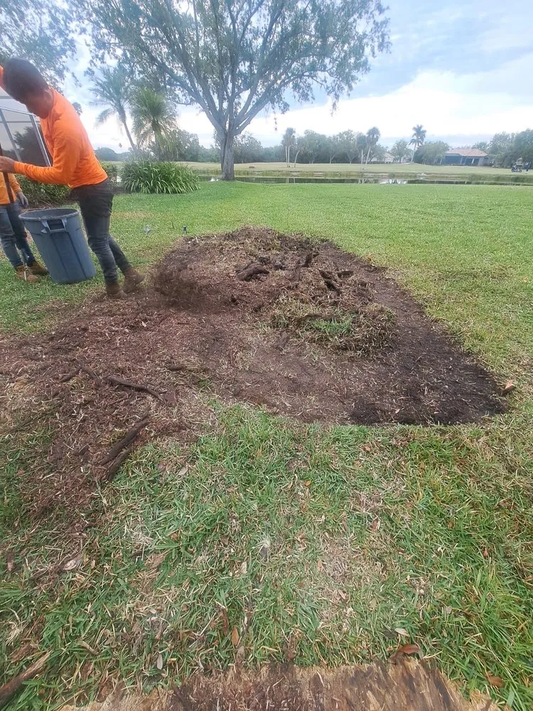 Expert yard maintenance in Sarasota, FL by Lopez Tree Trimming & Landscape Services