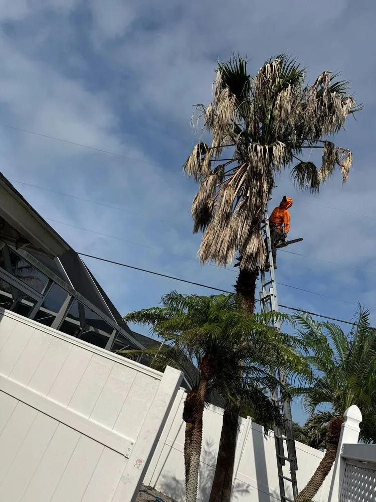 Affordable landscaping services for residential properties in Sarasota, FL by Lopez Tree Trimming & Landscape Services