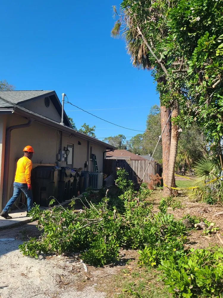 Top-rated lawn care service in Sarasota, FL by Lopez Tree Trimming & Landscape Services