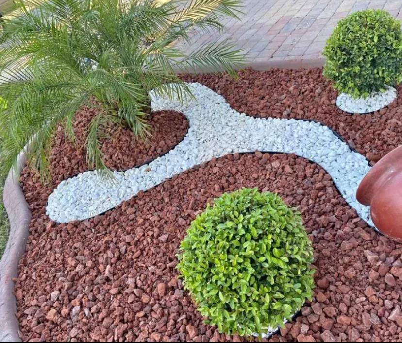 Professional yard maintenance experts serving Sarasota, FL - Lopez Tree Trimming & Landscape Services