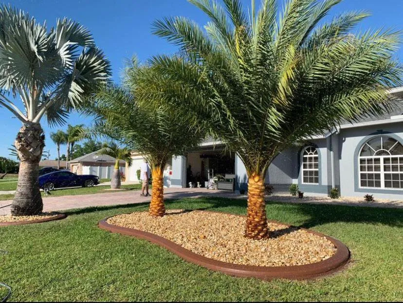 Professional outdoor landscaping with custom design in Sarasota, FL by Lopez Tree Trimming & Landscape Services