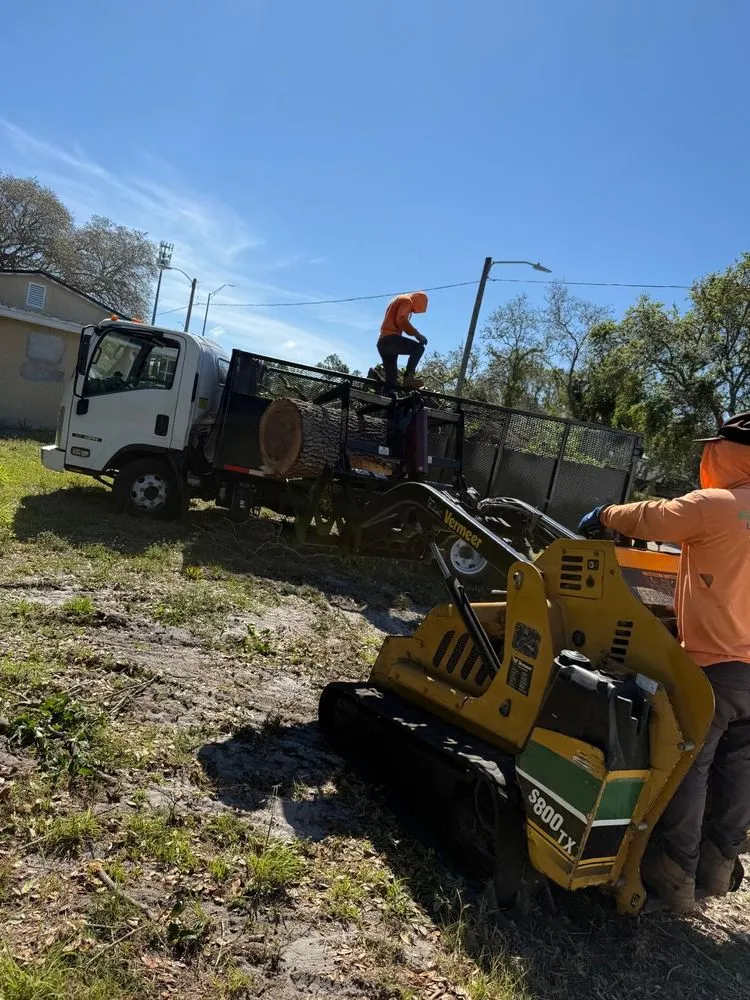 Local yard maintenance in Sarasota, FL by Lopez Tree Trimming & Landscape Services