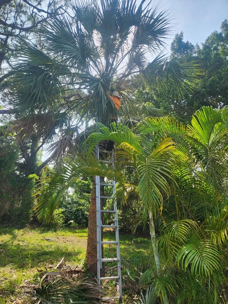 Trusted landscape design experts serving Sarasota, FL - Lopez Tree Trimming & Landscape Services