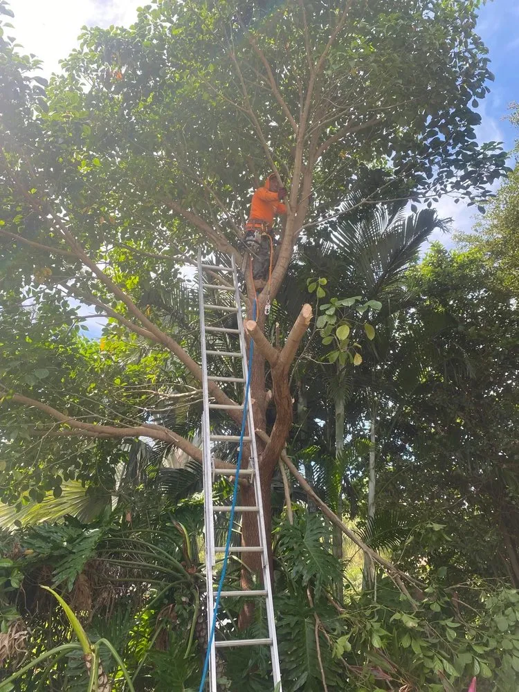 Custom landscaping services with custom design in Sarasota, FL by Lopez Tree Trimming & Landscape Services
