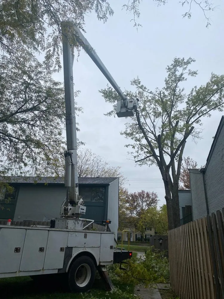 Trusted landscape installation for outdoor upgrades in Columbus, OH by Lopezitos Trees Service