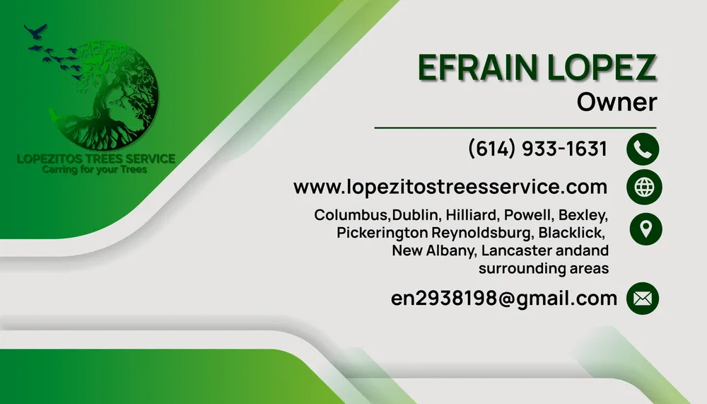 Custom yard maintenance with custom design in Columbus, OH by Lopezitos Trees Service