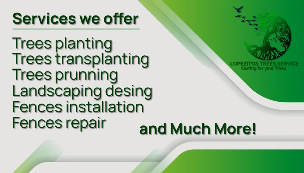 Local lawn mowing service in Columbus, OH - Lopezitos Trees Service