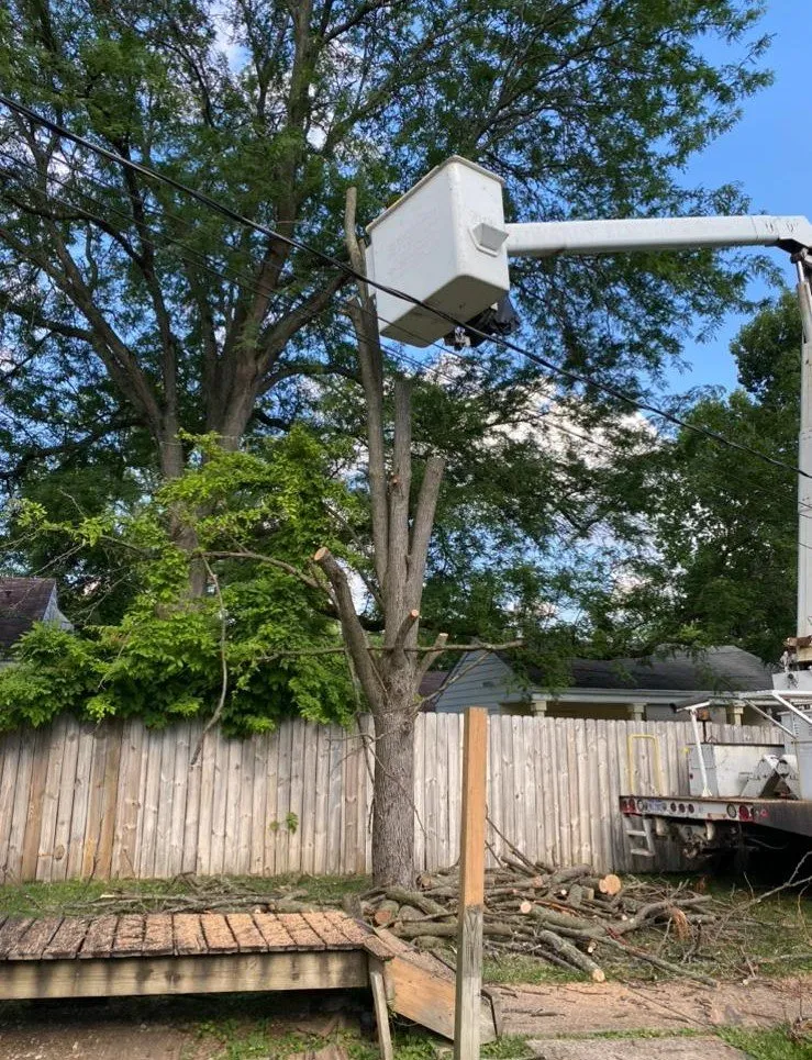 Reliable residential landscaping near you in Columbus, OH by Lopezitos Trees Service