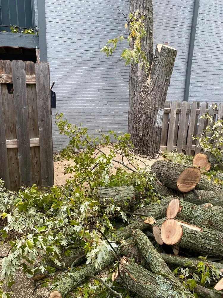 Expert landscape installation in Columbus, OH - Lopezitos Trees Service