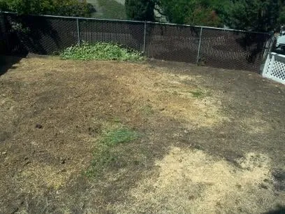 Top-rated garden landscaping for homes across El Sobrante, CA - Lopez's Landscaping & Construction