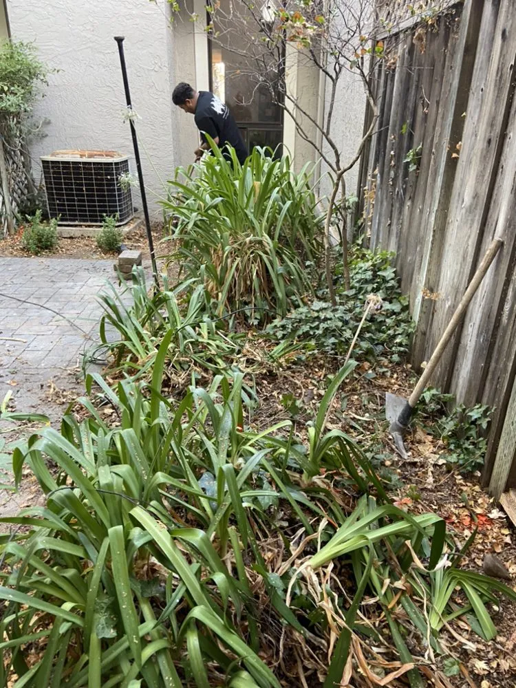 Affordable landscape installation for outdoor upgrades across Palo Alto, CA - Lopez’s Landscaping