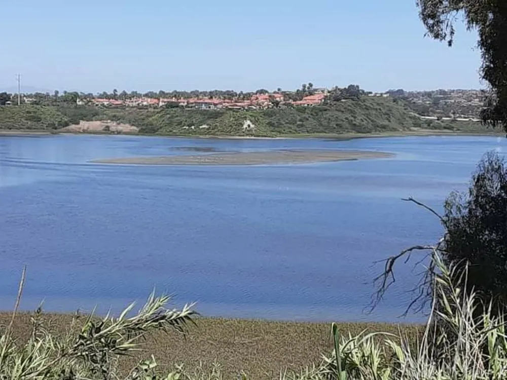 Custom lawn mowing service experts serving San Marcos, CA - Lopezz Landscape