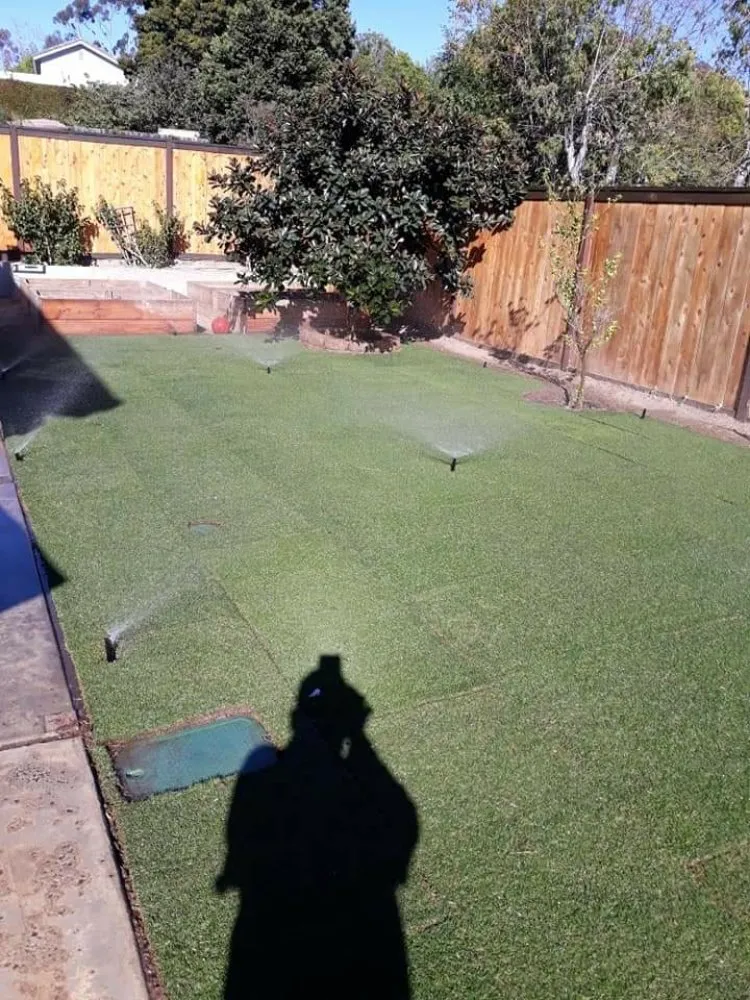 Local landscape design experts serving San Marcos, CA - Lopezz Landscape