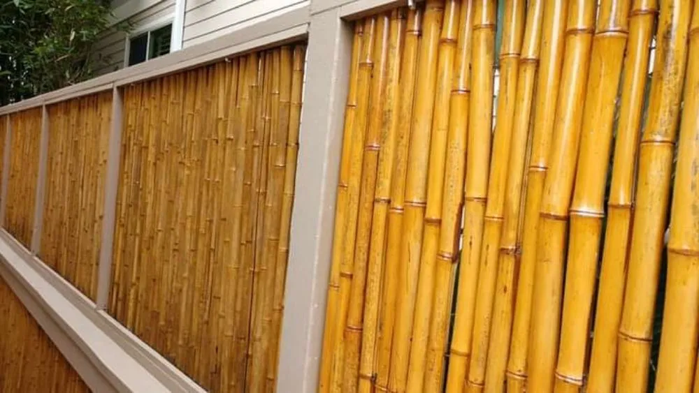 Custom landscape design for year-round maintenance in San Marcos, CA by Lopezz Landscape