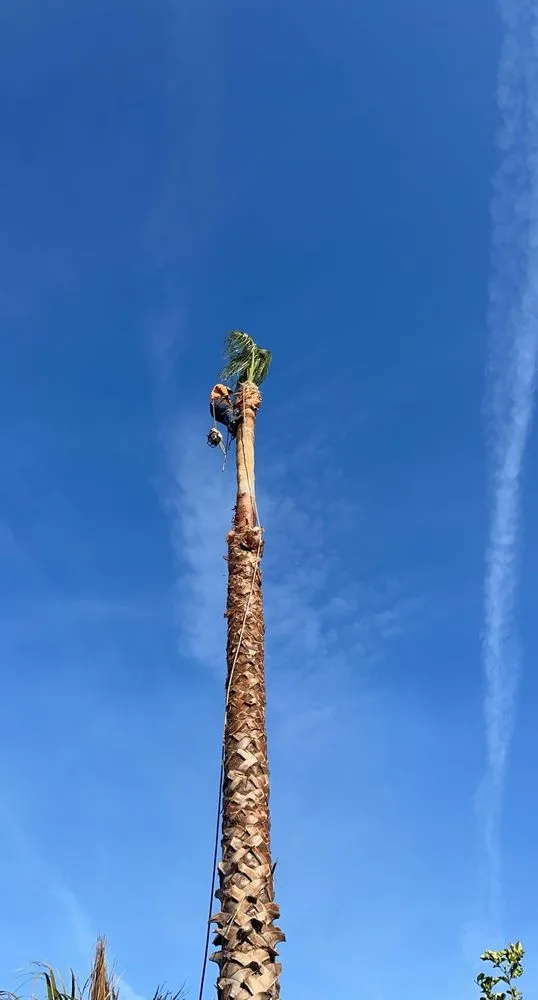 Local garden landscaping for beautiful yards across San Fernando, CA - Lopezz Landscaping