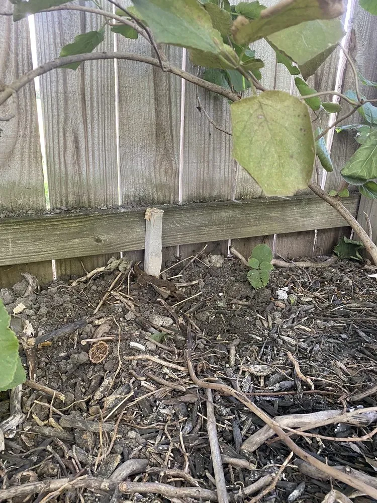 Affordable yard cleanup service for residential properties in Sheffield Lake, OH by Lorain County Landscape Professionals