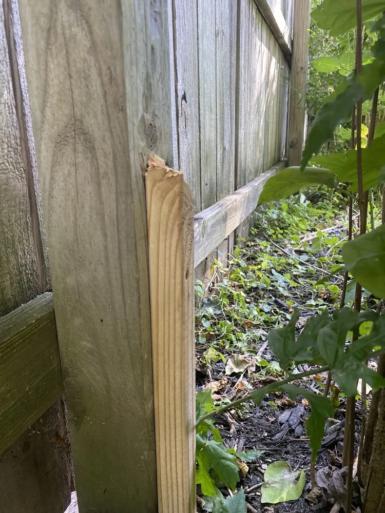 Custom outdoor landscaping in Sheffield Lake, OH by Lorain County Landscape Professionals