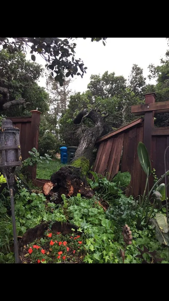 Reliable landscape design for year-round maintenance across San Mateo, CA - Loral Landscaping