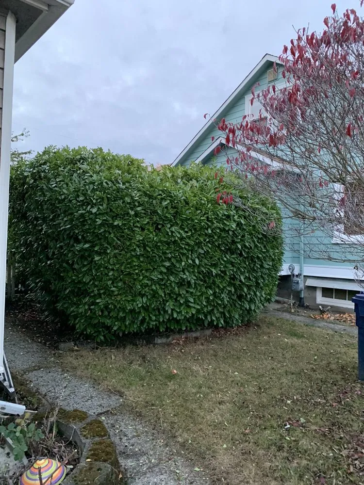 Top-rated garden landscaping in Graham, WA by Lorang's Landscapes