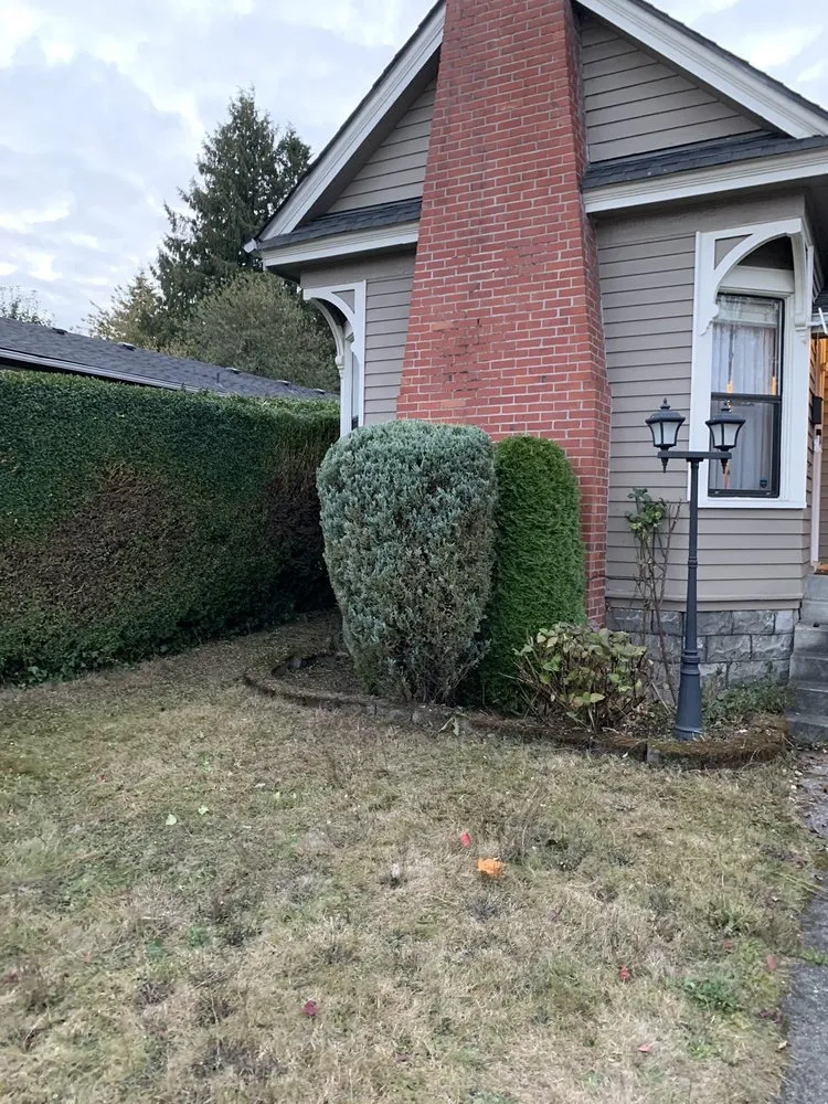 Custom yard maintenance in Graham, WA by Lorang's Landscapes