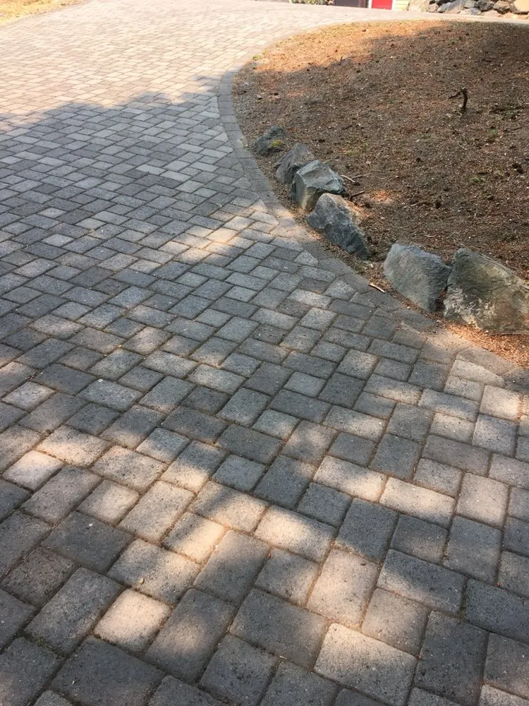 Affordable yard cleanup service experts serving Graham, WA - Lorang's Landscapes