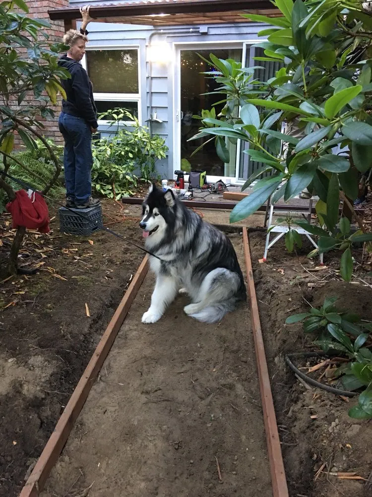 Local landscape design in Graham, WA by Lorang's Landscapes