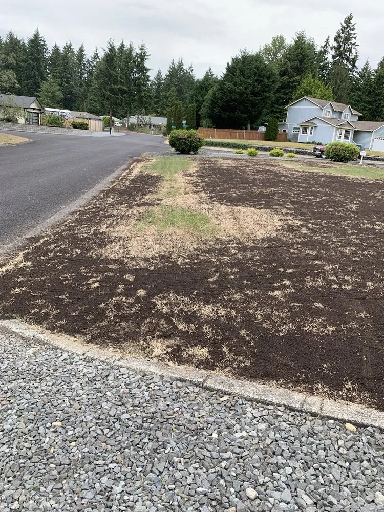 Trusted landscape design in Graham, WA by Lorang's Landscapes