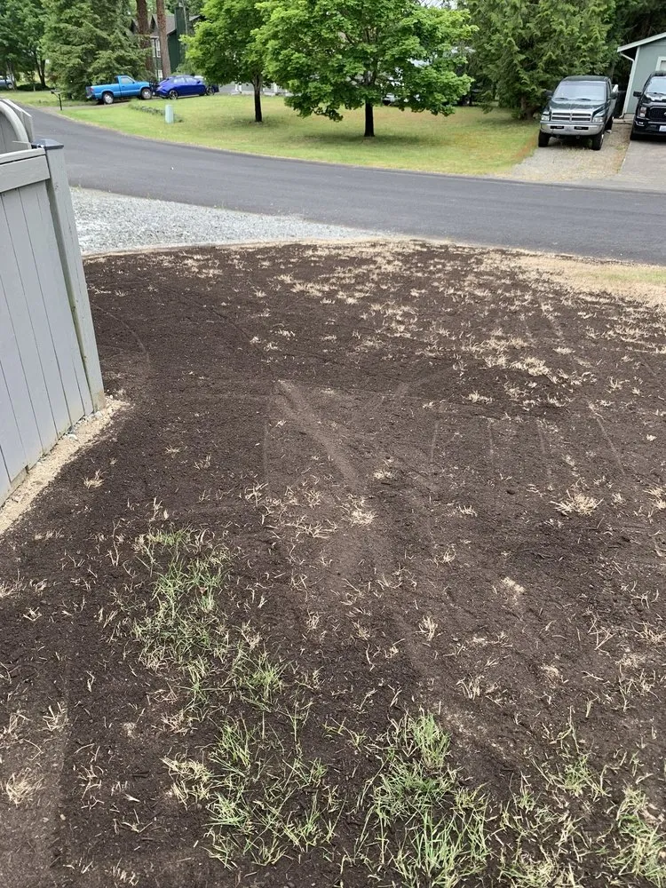 Top-rated landscape installation experts serving Graham, WA - Lorang's Landscapes