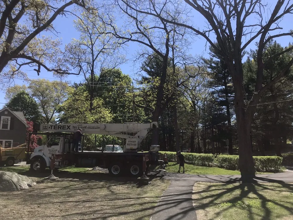 Custom landscape design in North Reading, MA - Lorax Tree Service
