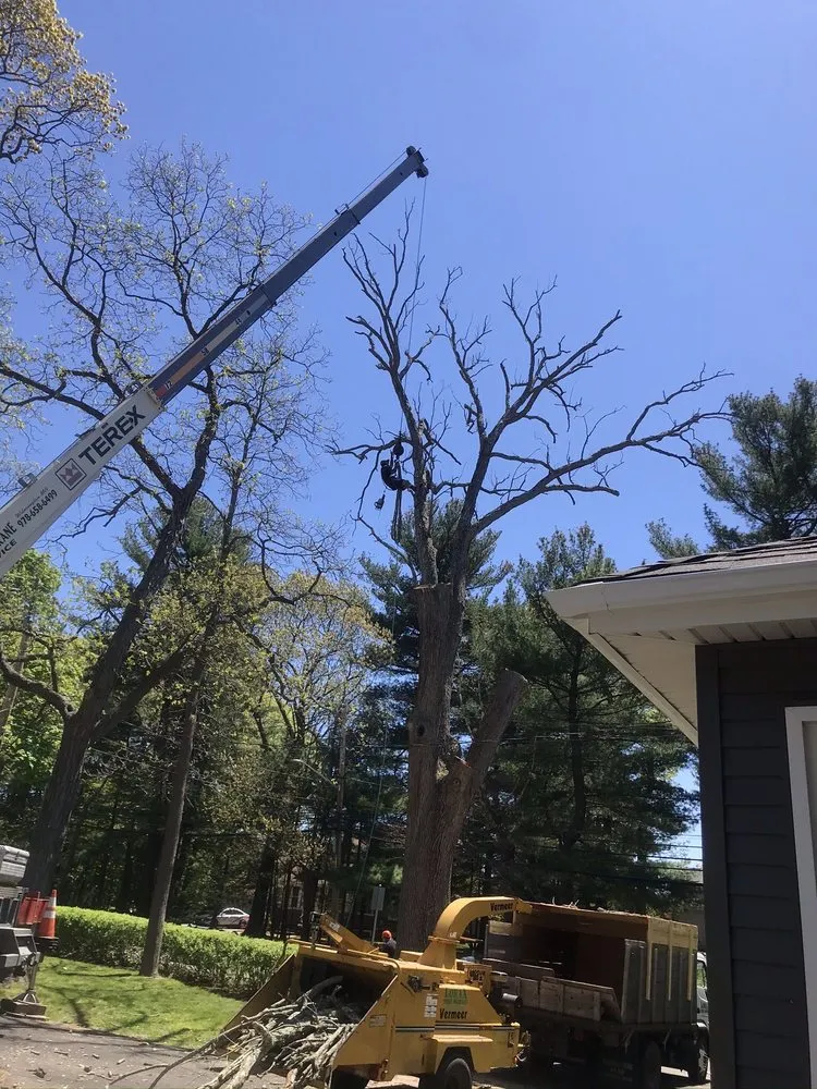 Reliable landscape design near you across North Reading, MA - Lorax Tree Service